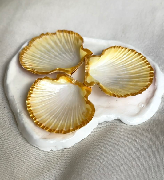 Mini Aphrodite's Seashell Palette