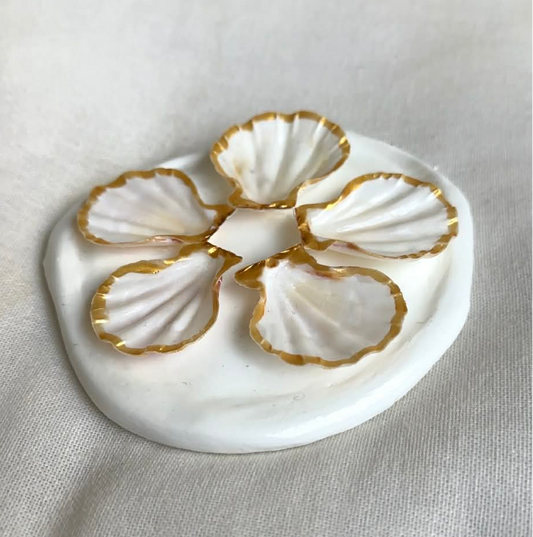 Mini Aphrodite's Seashell Palette