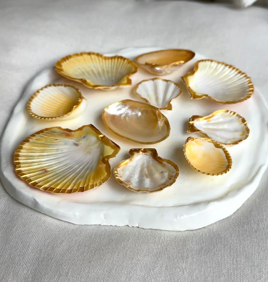 Aphrodite's Seashell Palette