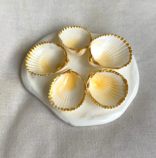 Mini Aphrodite's Seashell Palette