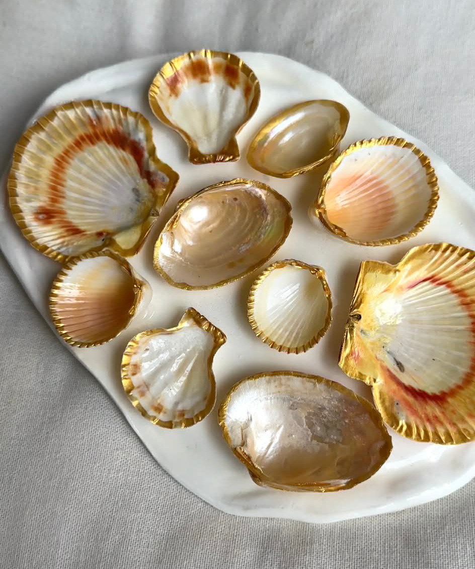 Aphrodite's Seashell Palette