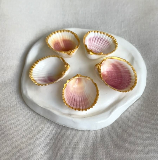 Mini Aphrodite's Seashell Palette