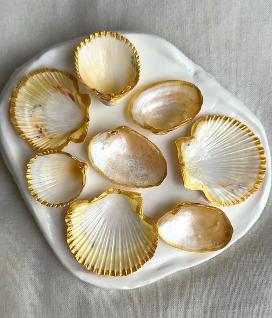 Aphrodite's Seashell Palette