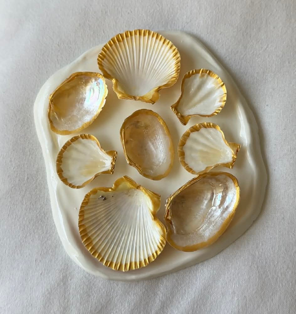 Aphrodite's Seashell Palette