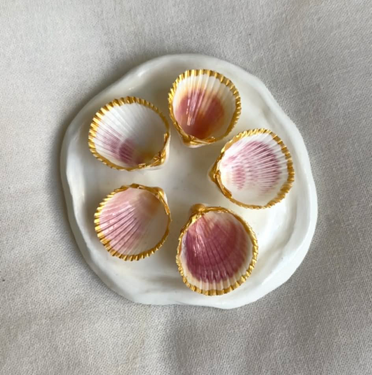 Mini Aphrodite's Seashell Palette