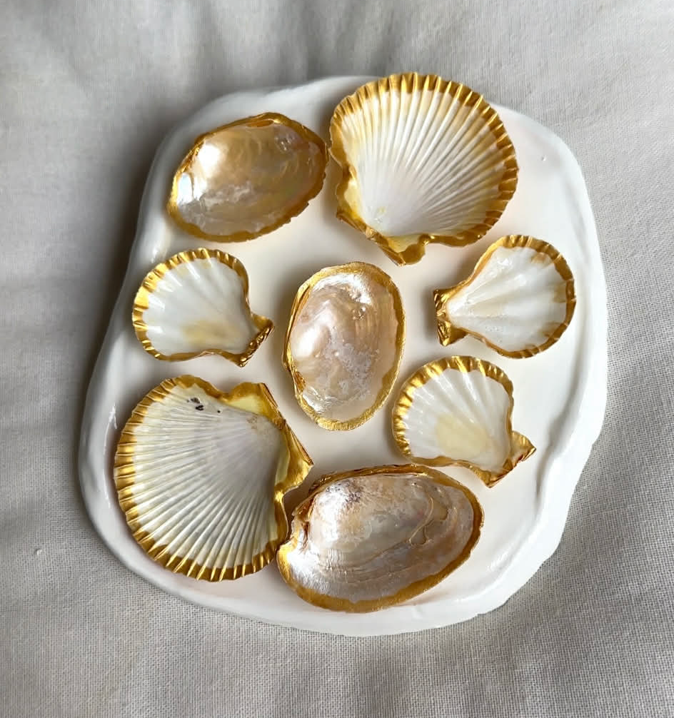 Siren's Essentials Set