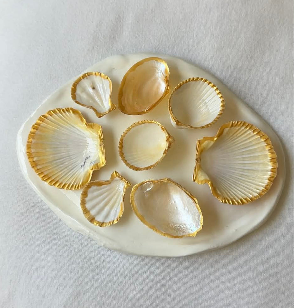 Aphrodite's Seashell Palette