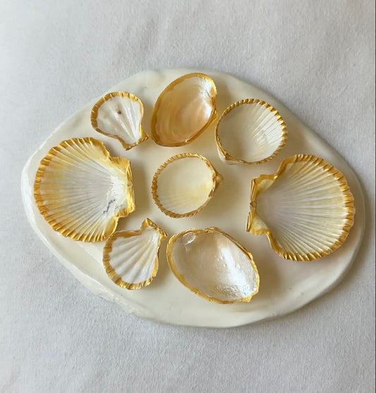 Aphrodite's Seashell Palette