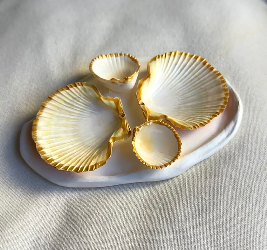 Mini Aphrodite's Seashell Palette