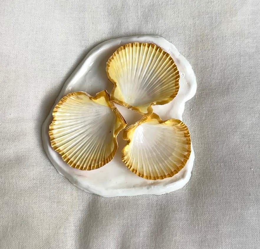 Mini Aphrodite's Seashell Palette