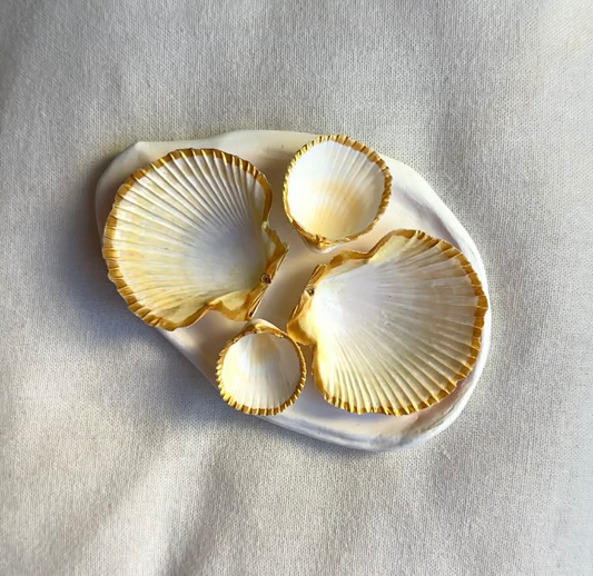Mini Aphrodite's Seashell Palette