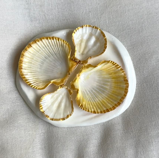 Mini Aphrodite's Seashell Palette