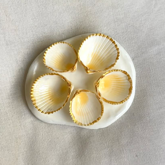 Mini Aphrodite's Seashell Palette