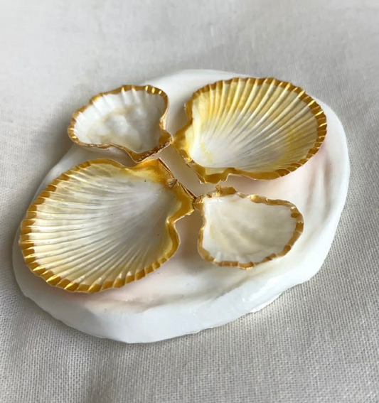 Mini Aphrodite's Seashell Palette