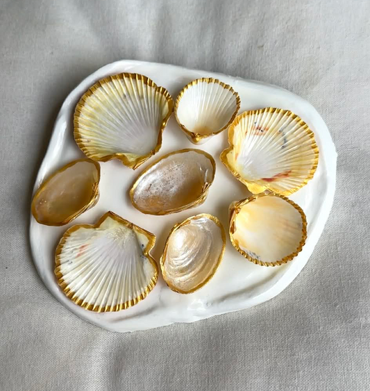 Aphrodite's Seashell Palette