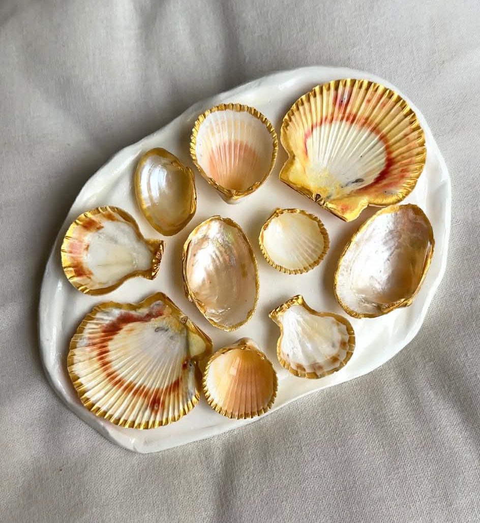 Aphrodite's Seashell Palette