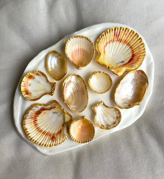 Aphrodite's Seashell Palette