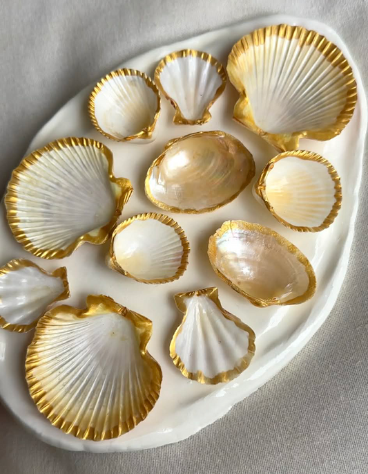 Aphrodite's Seashell Palette