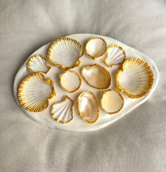 Aphrodite's Seashell Palette