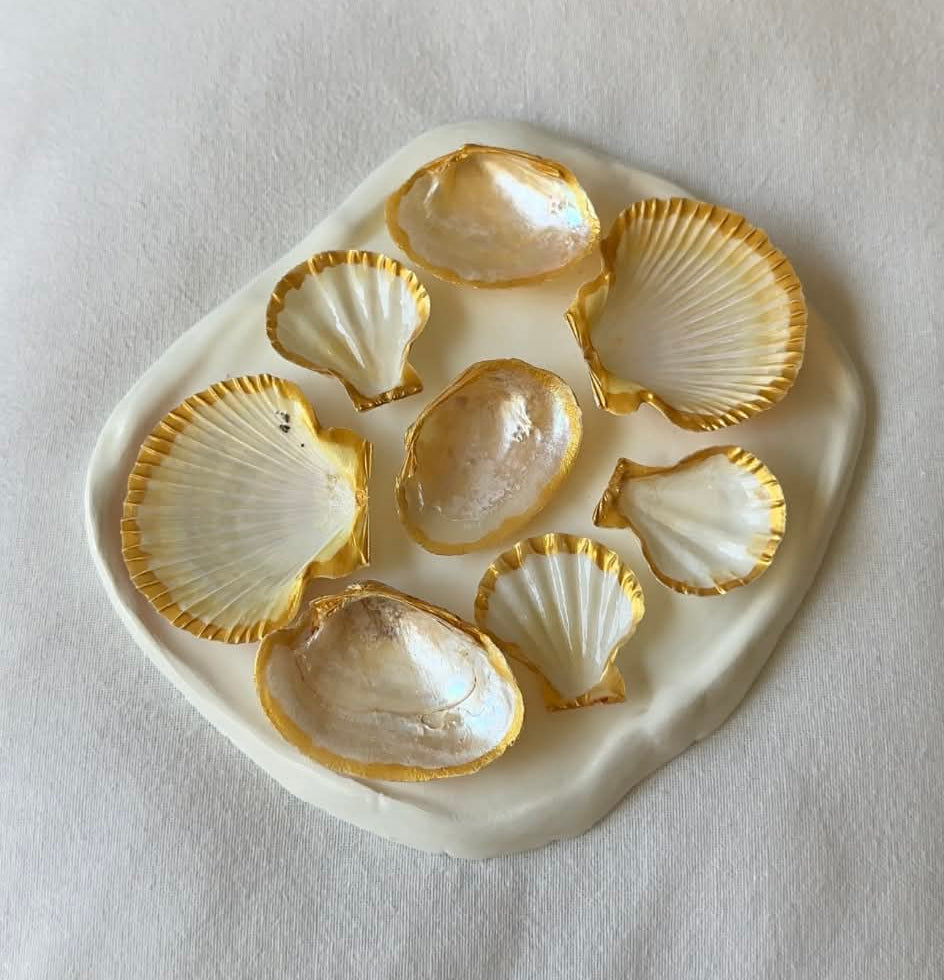 Aphrodite's Seashell Palette