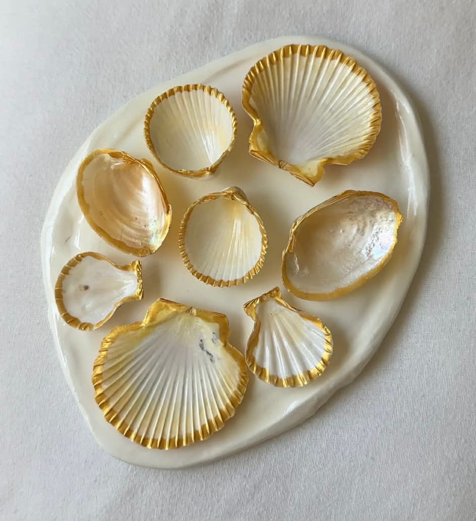 Aphrodite's Seashell Palette